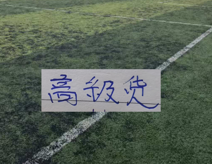 Xingkong yule-中超前15轮 各队代表球星!|阿马杜|上海海港|成都蓉城足球俱乐部|上海申花足球俱乐部|大连英博_新浪体育_新浪新闻